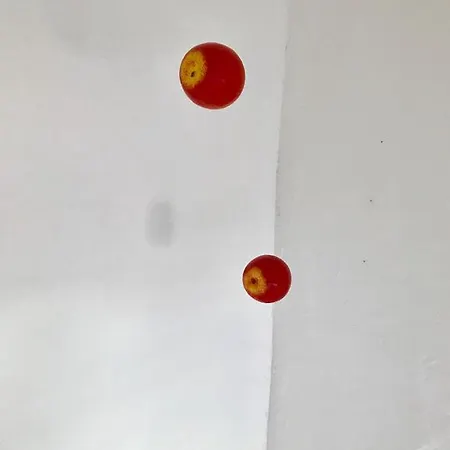 Ciao Flats - Piazzale Lugano Appartement Milan